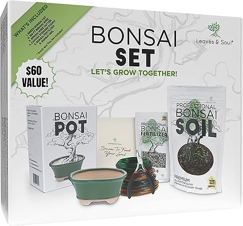Juego completo de bonsái Pequeña maceta ovalada verde para bonsái con tierra, pellets de fertilizantes, 160 pies de alambre de bonsái, cortador y