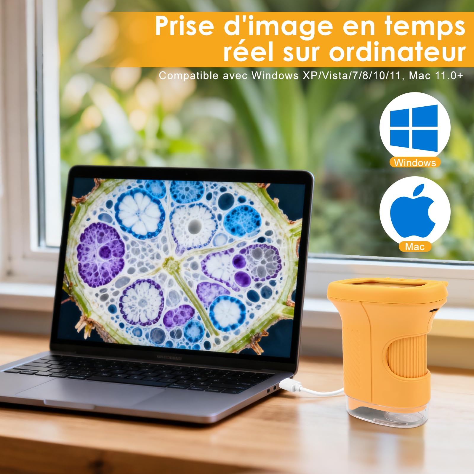 1000X Microscope Enfant,Microscope NuméRique pour 2.4" IPS Pouces & 8 LED Lumiere,Rechargeable,pour 4-12 Ans - Orange