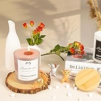 Vista 5 de CONNOO Paquete de 8 frascos de vela de vidrio esmerilado de 14 onzas con tapas de bambú para hacer velas, frascos de vela vacíos de gran