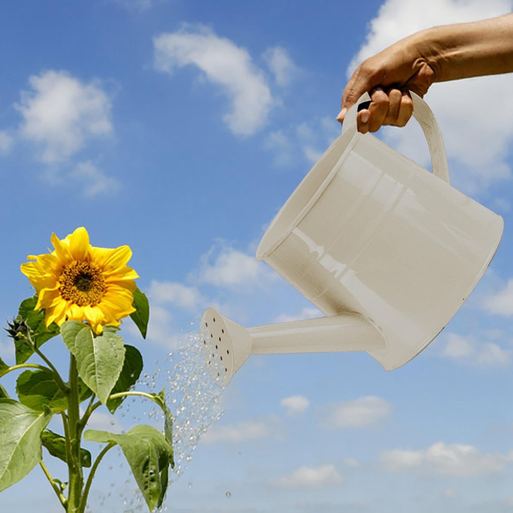 Regaderas De Interior Para Plantas De Interior, Macetas De Plástico De 1  Galón Para Plantas Al, image size:1644x1644