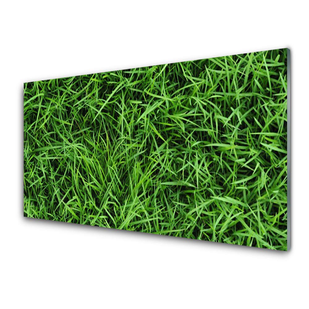 Tableau plastique imprimé floral 125x50cm pour remplacer un mur vide par une pelouse apaisante