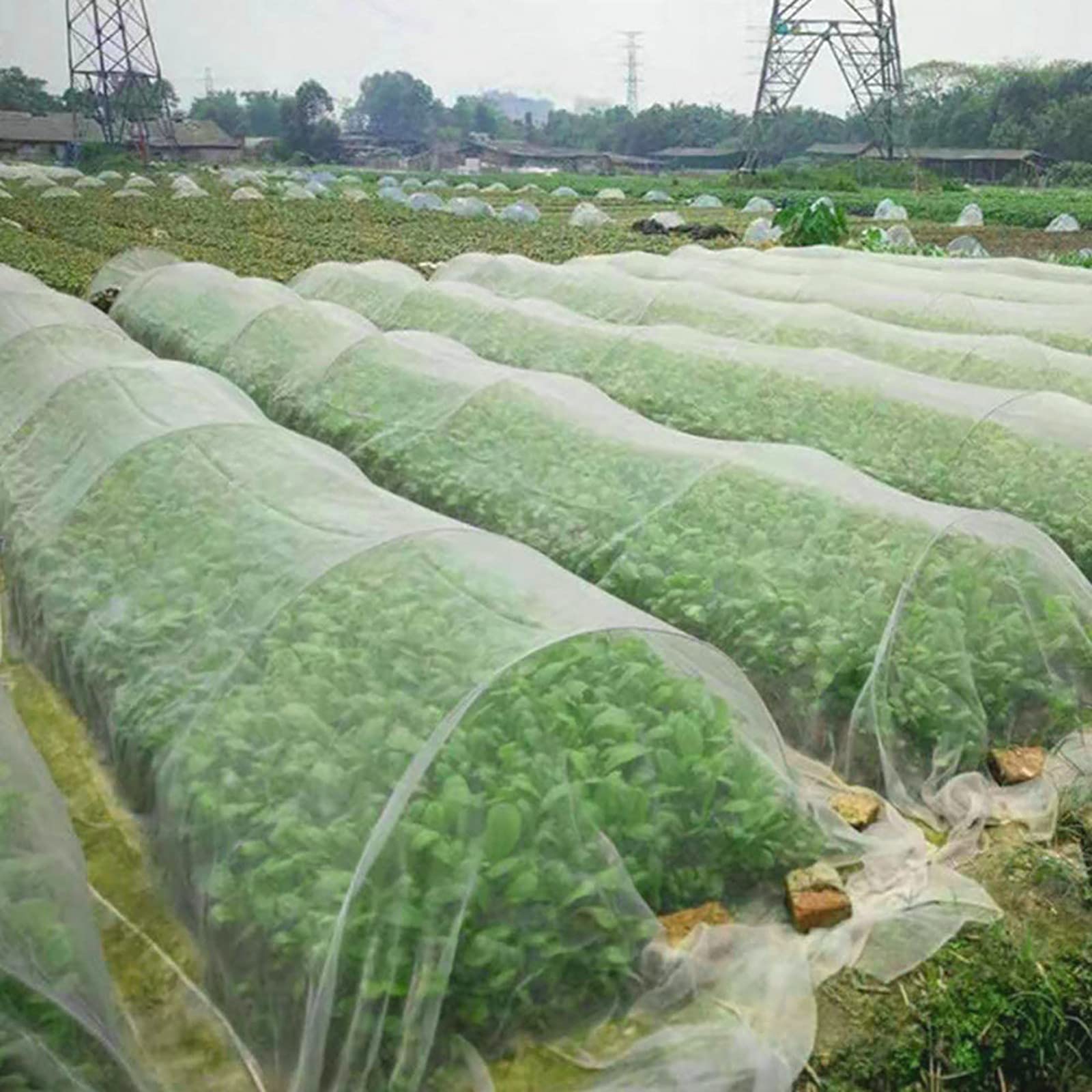 Rete per insetti a maglie strette， Garden Netting To Cover Vegetables Fruits Flowers From Animals Insects