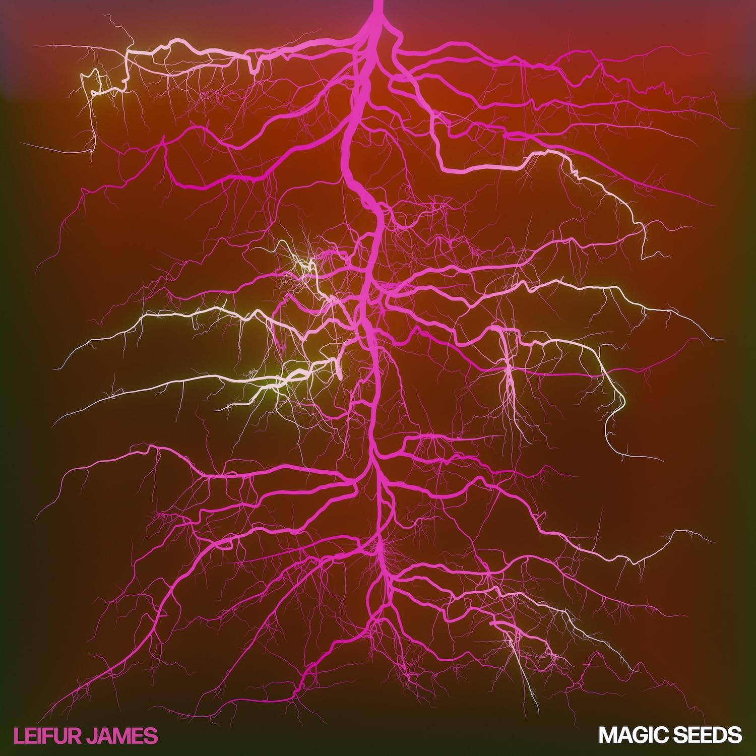 MAGIC SEEDS