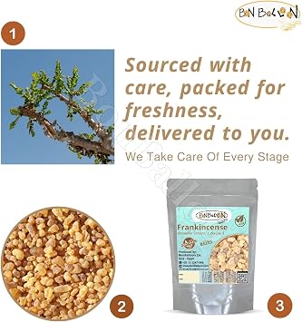 Egyptian Frankincense Gum Premium Natural Raw Rock Bulk Egypt Herbal Herbs Herb Pure Arabic Premium Arab Arabian Dried (1 Pack 6 oz / 168 gm)
