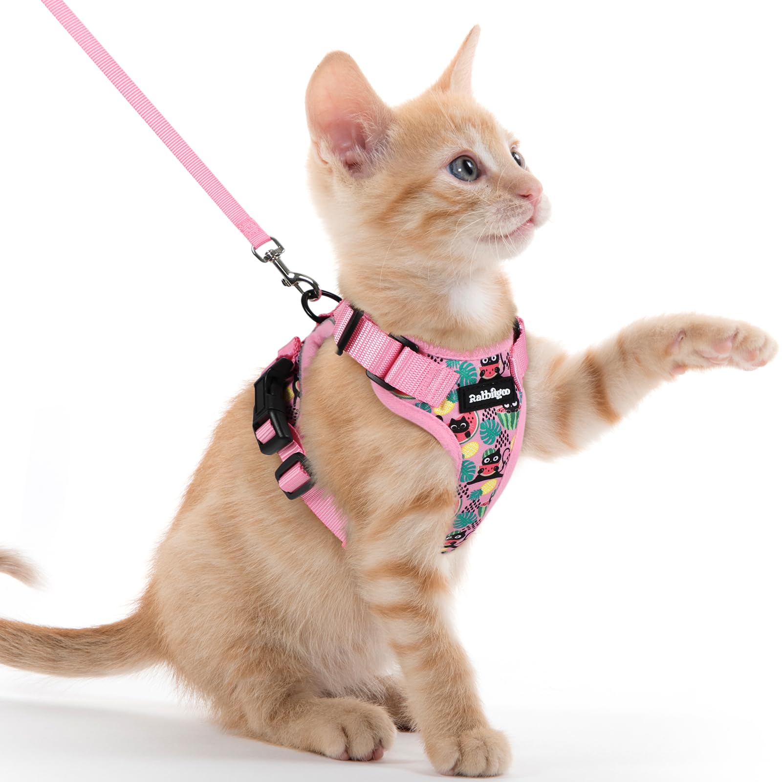rabbitgoo Cat Harness and Leash Set, Escape Proof Vest, Melon Munch