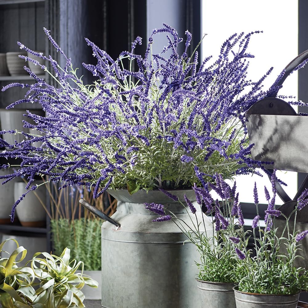 Napa Home & Garden, French Lavender Bush 34"