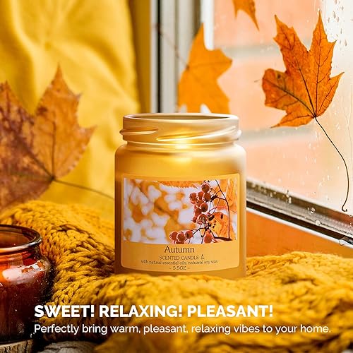 Miniatura 5 de MelodySusie Juego de 4 velas perfumadas para mujeres y hombres, paquete de 4 velas de 180 horas de combustión, velas de cera de soja natural de