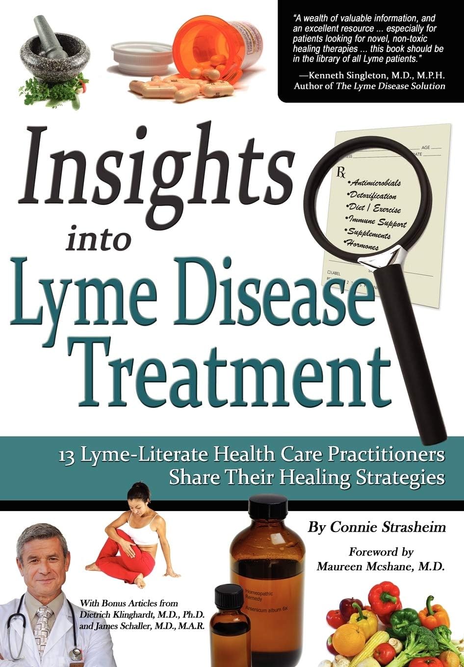 Insights Into Lyme Disease Treatment: 13 Lyme-Literate Health Care Practitioners Share Their Healing Strategies (Volume 1)