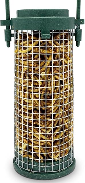 Eco Friendly Bird Feeder Pre-Filled with Mealworms Included - Green Recycled Plastic Hanging Feeders for Wild Garden Birds - Attracts Finches, Robins & many others