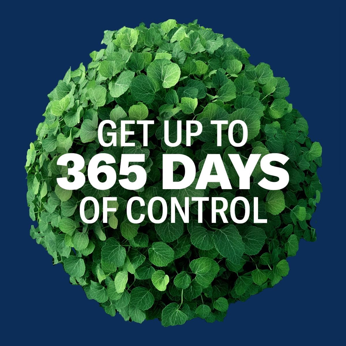 BioAdvanced Extended Control Brush Killer, Concentrate, 32 oz