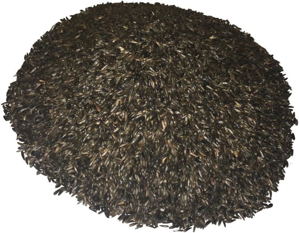 Wagner's 62052 Nyjer Seed Wild Bird Food, 50-Pound Bag