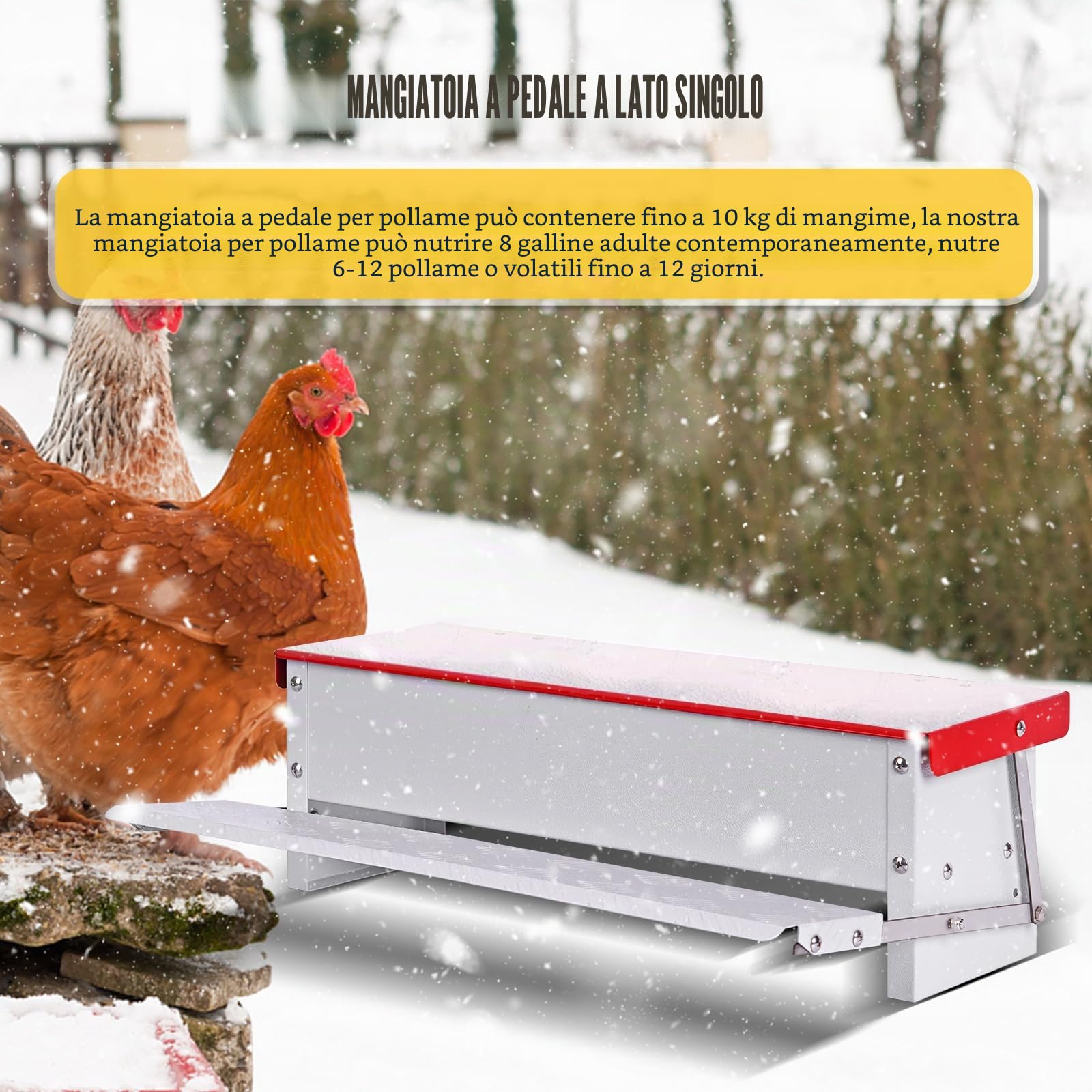 Alimentatore Automatico per Pollame, Mangiatoia per Galline per 5 Kg di Mangime, Mangiatoia Impermeabile per Polli, Tacchini, Oche, Anatre, Mangiatoia a Pedale