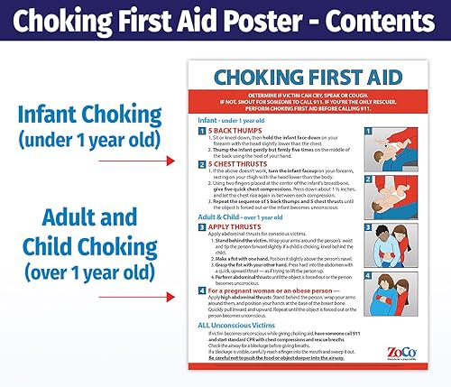 Miniatura 2 de ZOCO - Póster de primeros auxilios de asfixia - Instrucciones de maniobra Heimlich para bebés, niños y adultos - Laminado 17 x 22 - Letrero