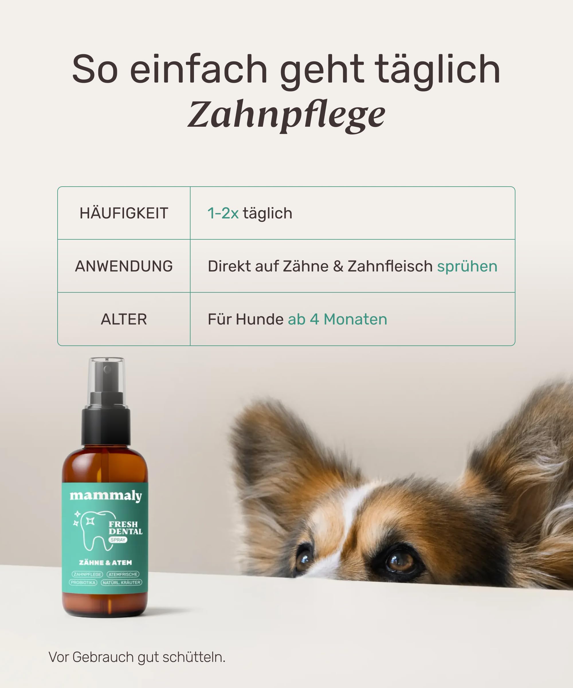 mammaly NEUHEIT 2026: Fresh Dental® Zahnpflege-Spray (bis 90+ Tage)