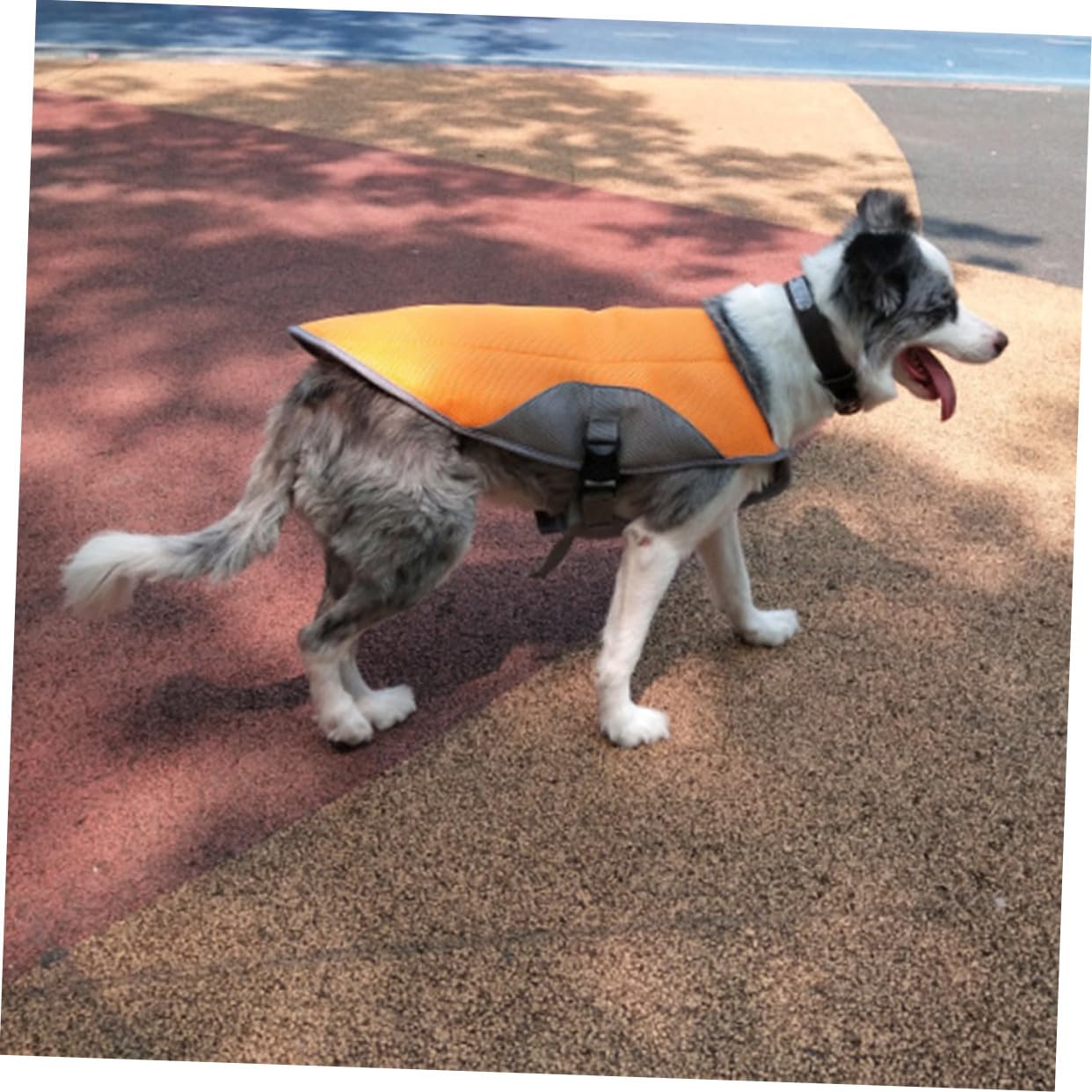 VICASKY Gilet Rafraîchissant pour Chien Polyester Orange 2XL Vêtement Estival Confortable