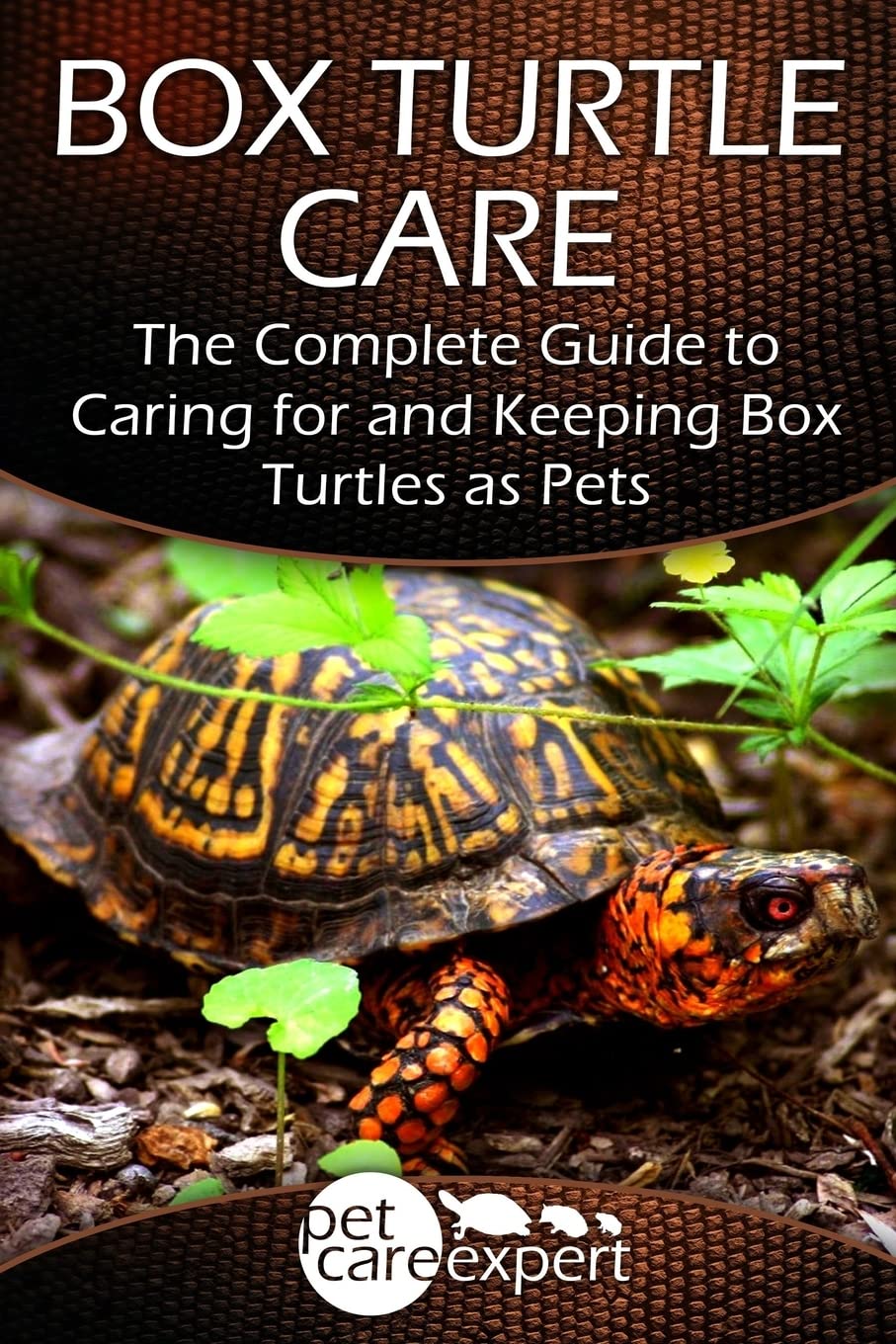 Pet Box Turtles Wisconsin DNR Urges Action To Help Protect Turtles In
