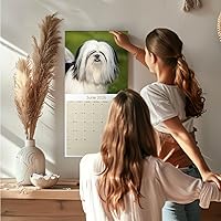 Vista 280 de Razas de Perros 2017