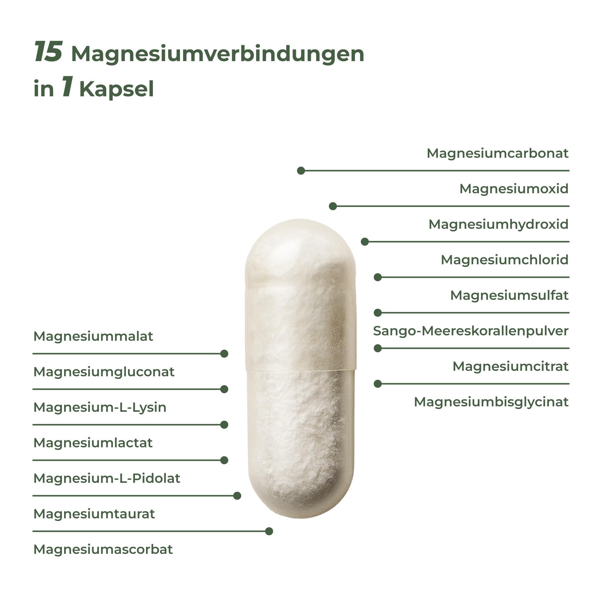 Magnesium Komplex MagNityX15 15 Magnesiumverbindungen inkl. Magnesium Bisglycinat Citrat & Malat 400 mg pro Tagesdosis 120 Kapseln Muskeln Knochen Nerven Vitality Nutritionals by Vitamin Express