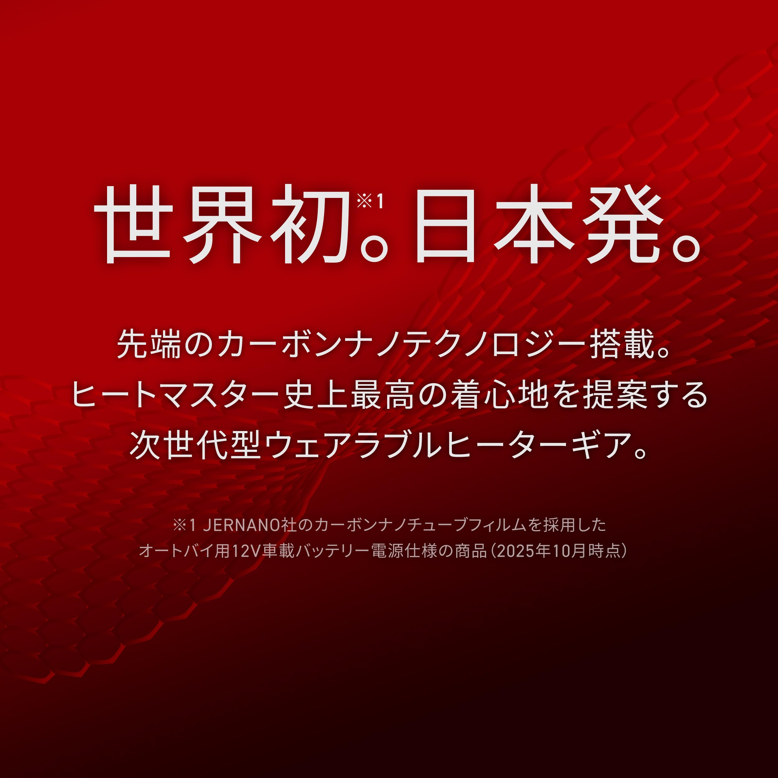 Amazon.co.jp: ヒートマスター(HeatMaster) 12V カーボンスポーツ 