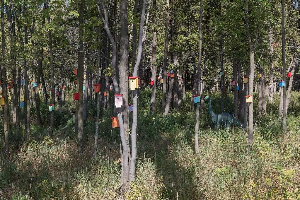 Photo- Birdhouses, including some that may be elaborately carved or painted, are a common sight in the gardens and woods of rural and suburban America 2 Fine Art Photo Reproduction 12in x 08in