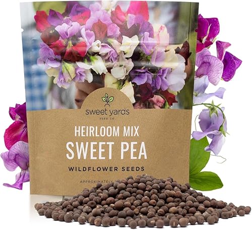 Miniatura 10 de Sweet Pea Seeds Heirloom Mix  Bolsa a granel de 14 libra  Más de 1,400 semillas  Flores grandes fragantes de lavanda, morado, rojo, rosa y blanco