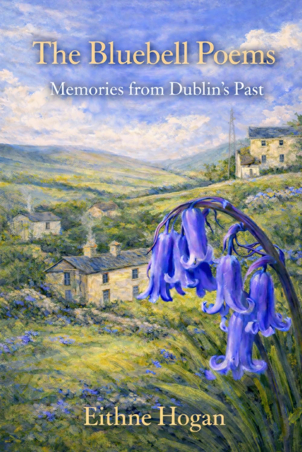 The Bluebell Poems: Memories from Dublin's Past