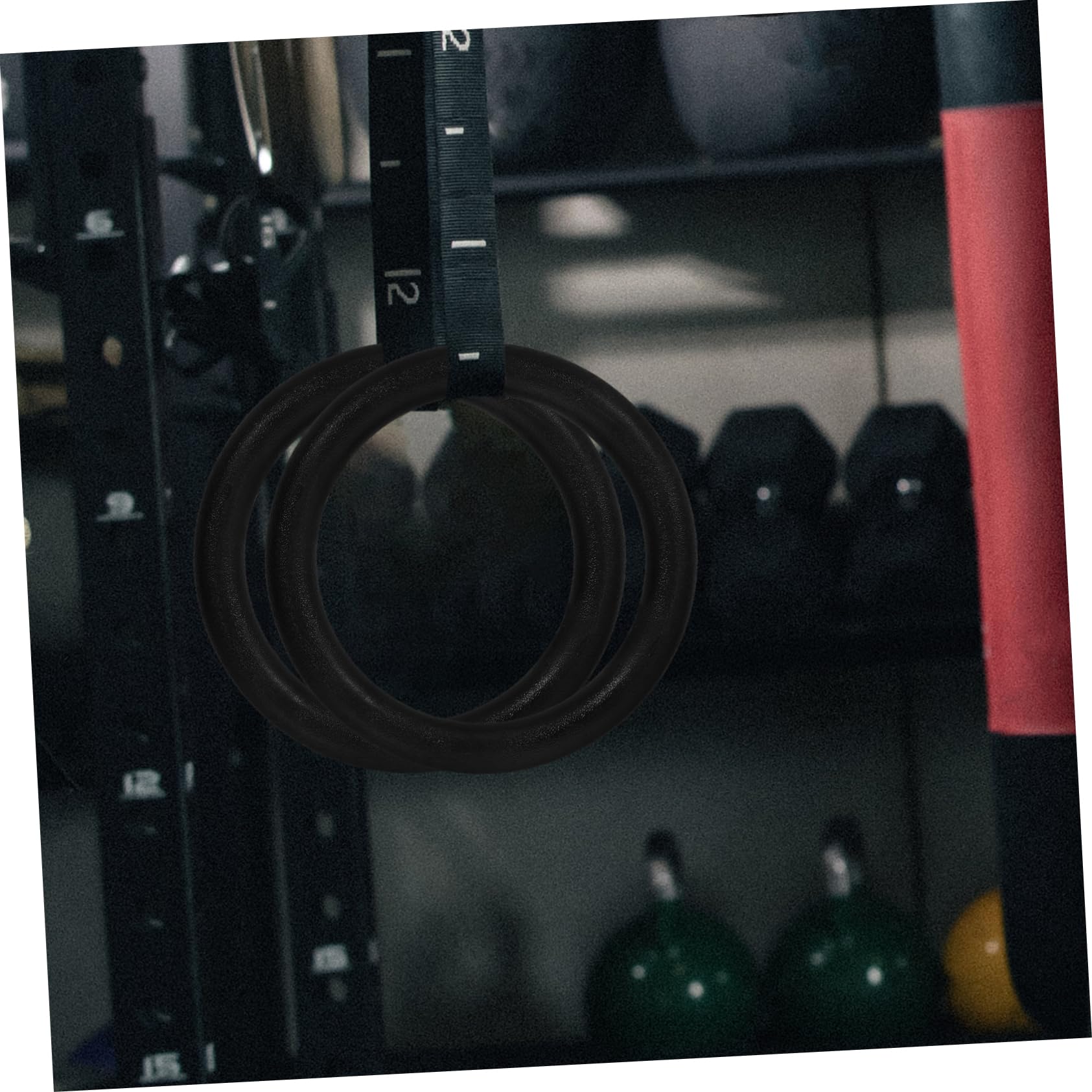 Anillos de Entrenamiento 2 Piezas Abs Negro hasta 400kg