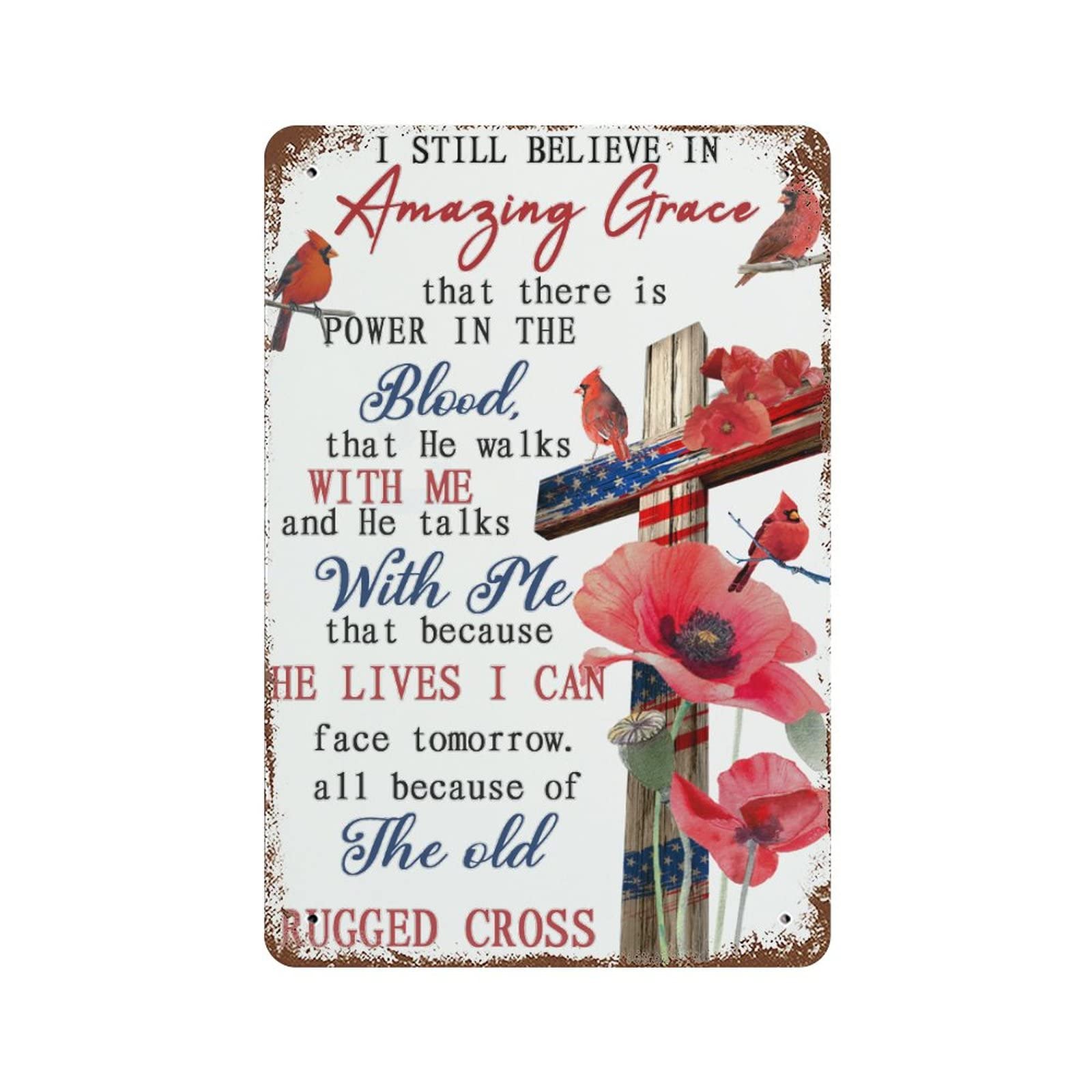 Panneau métallique Amazing Grace en métal de 30,5 x 45,7 cm pour décoration de cour