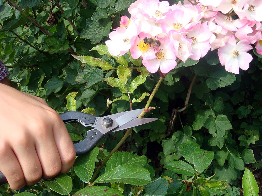 OKATSUNE 207 Ausdünnungsschere | Japanische Stecklings- und Bonsaischere mit 45 mm spitzen Klingen, schneidet kleine Äste und Zweige mühelos, nur 120 g, unangefochtene Nr. 1 in Japan