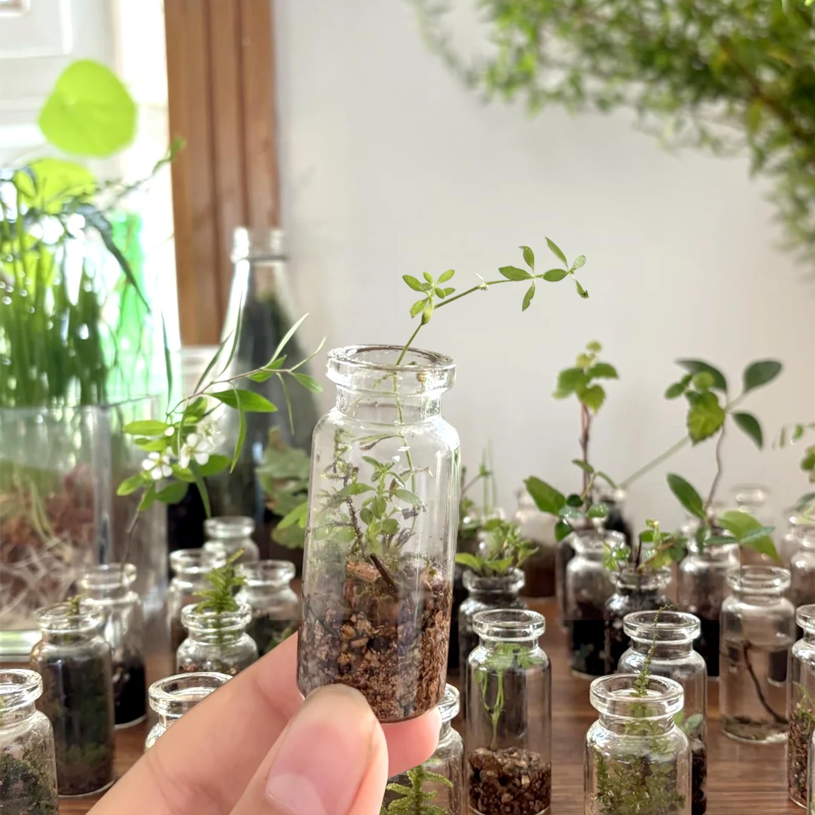 30 Pièces mini bouteilles en verre 25ml, flacons en verre avec Bouchons en Liège Mini Fiole Verre pour mariage, Bouteilles miniatures vides pour d'épices fête décoration de bricolage cadeaux