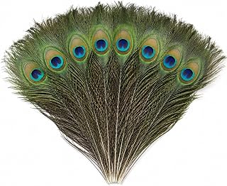 Plumes de paon naturelles, 10 grandes plumes vertes pour loisirs créatifs