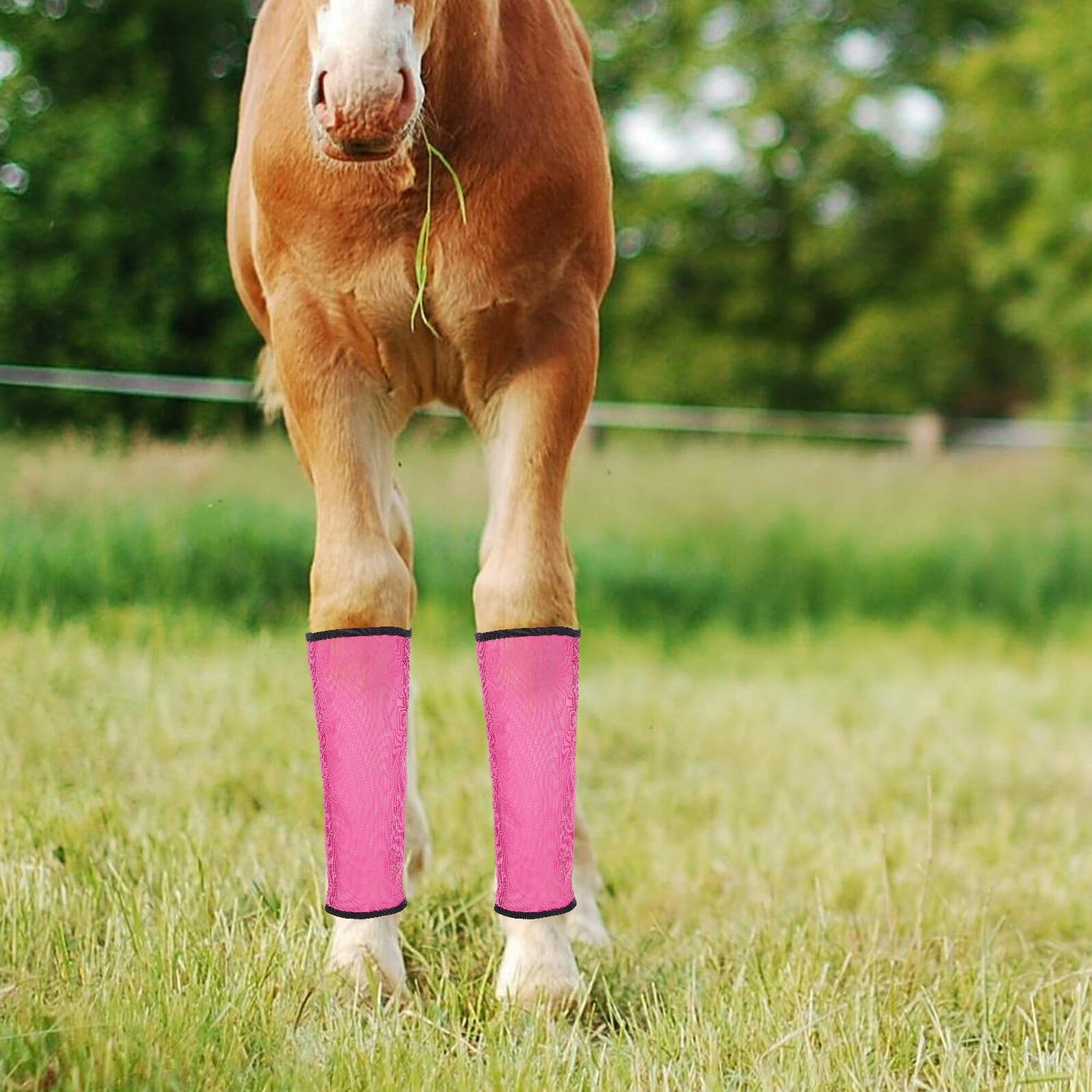 Gatuida Protezione le Gambe del Cavallo a Rete Traspirante 4 Pezzi, Design Elastico Leggero per Sessioni di Allenamento All'aperto