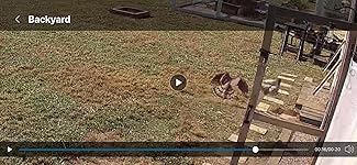 Review Image by RickB RickB