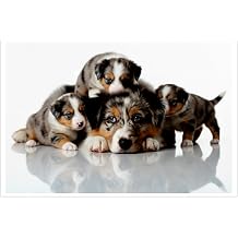 4x6 Photo Prints - Custom Photo Printing - Glossy Finish - Picture Prints | 4x6 Photo Prints Glossy Custom Prints, Set of 5