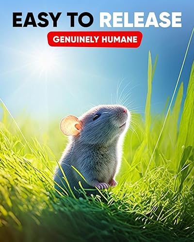 Miniatura 8 de Trampa humana para ratones para interiores y exteriores, paquete de 2 unidades, atrapa ratones y ratones, trampa pequeña para el hogar, trampa para