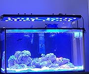 Review Image by Laura M.