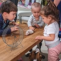 Vista 9 de Accesorios de ejercicio, rueda silenciosa para hámster, de malla de alambre, rueda de jerbo con soporte de hierro, rueda silenciosa para correr