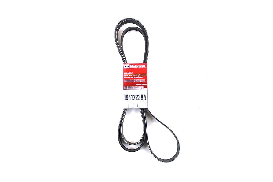 Amazon.com: Motorcraft JK81223AA V-Ribbed Belt : Automotive