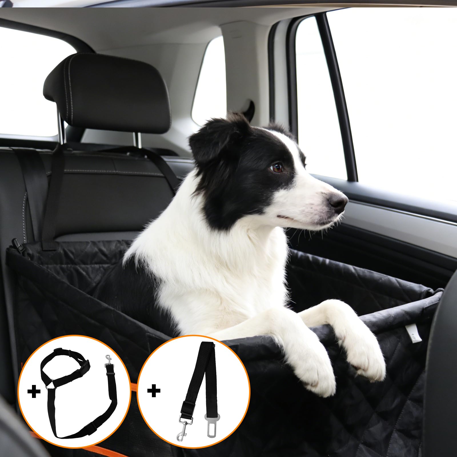 Siège arrière de voiture pour chien - Siège auto pour petits chiens - Extra stable - Avec ceinture de sécurité - Pliable - Pour petits animaux de compagnie - Imperméable