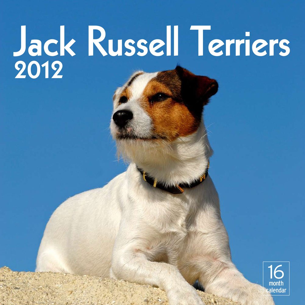 Amazon Jack Russell Terriers 2012 Calendar Moseley Road Inc. Breeds