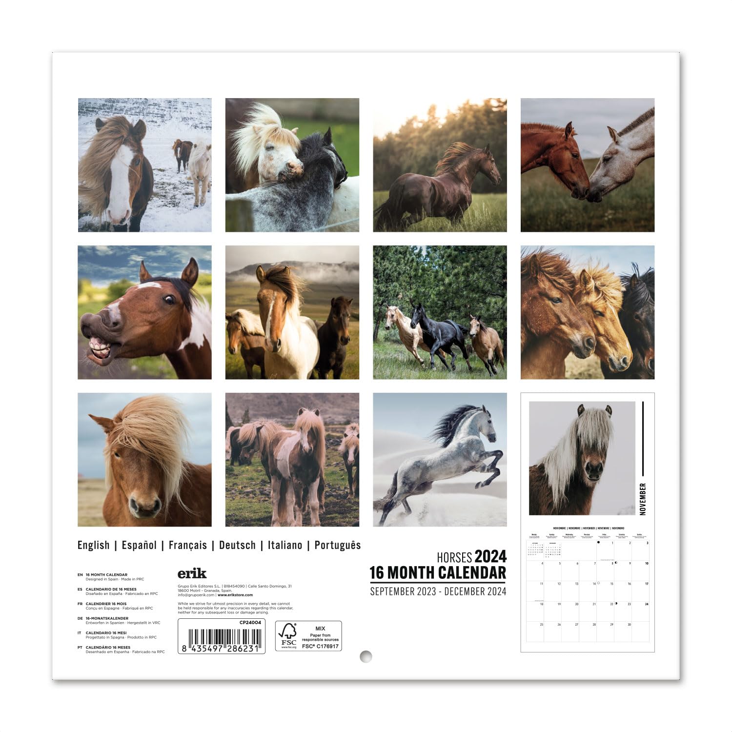 2026 Wall Calendar – Why Horses Do That 12" X 12" Planner – Willow Creek Press