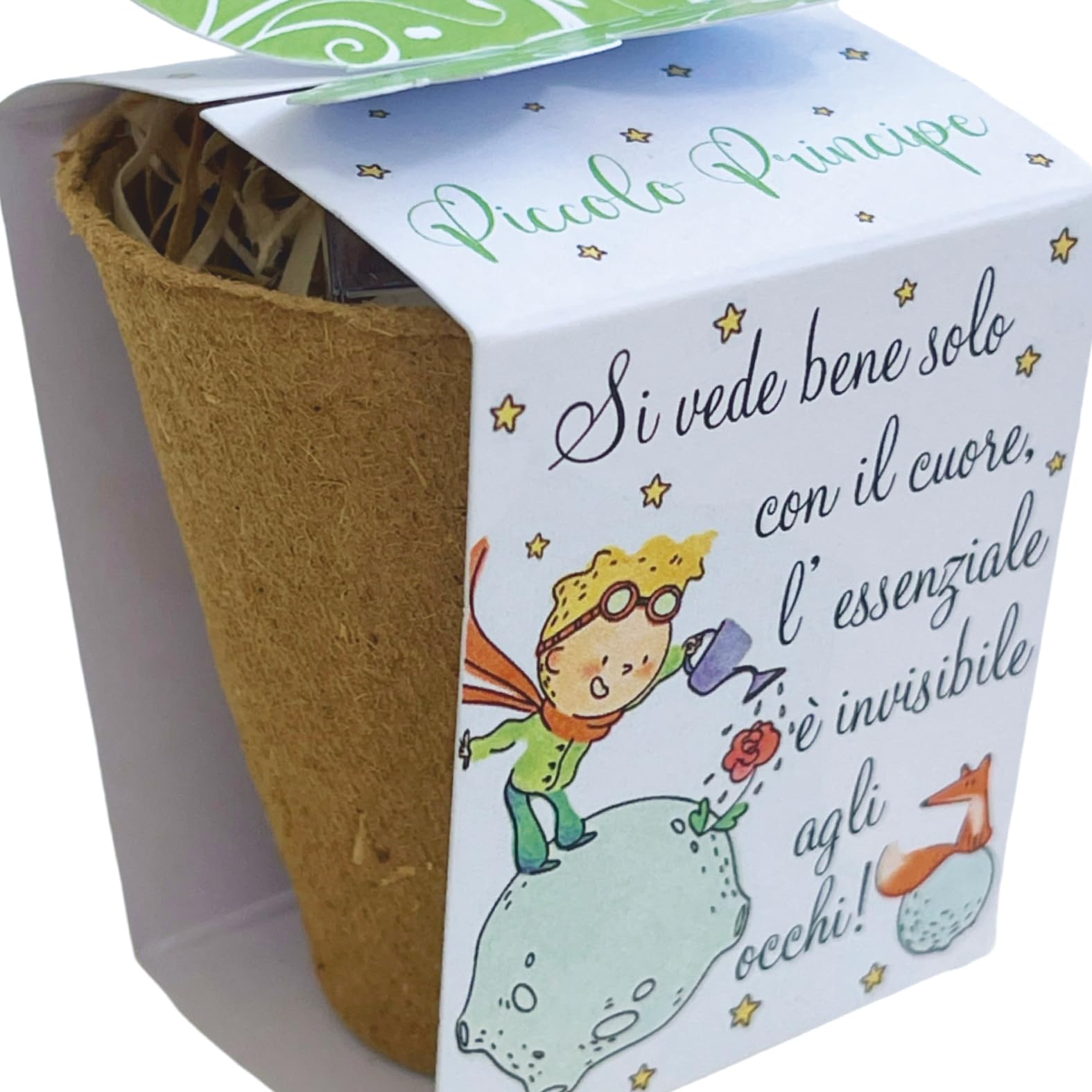 Regalami.shop12 Bomboniere Complete Eco-Sostenibili con Kit Fioritura Il Piccolo Principe - Set da 12 Pezzi per bomboniere Nascita, Battesimo, Comunione