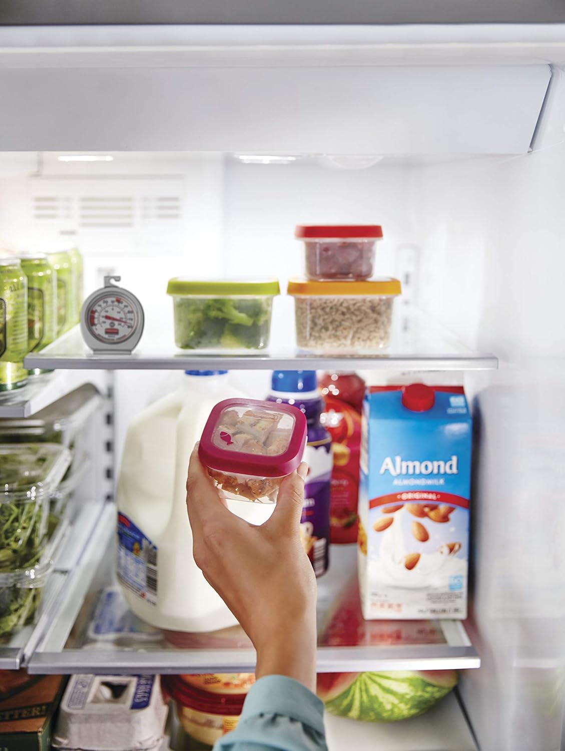 Rubbermaid FGR80DC Refrigerator Freezer Cooler Fridge Thermometer, Classic Large Mechanical Dial, Chrome : Home & Kitchen
