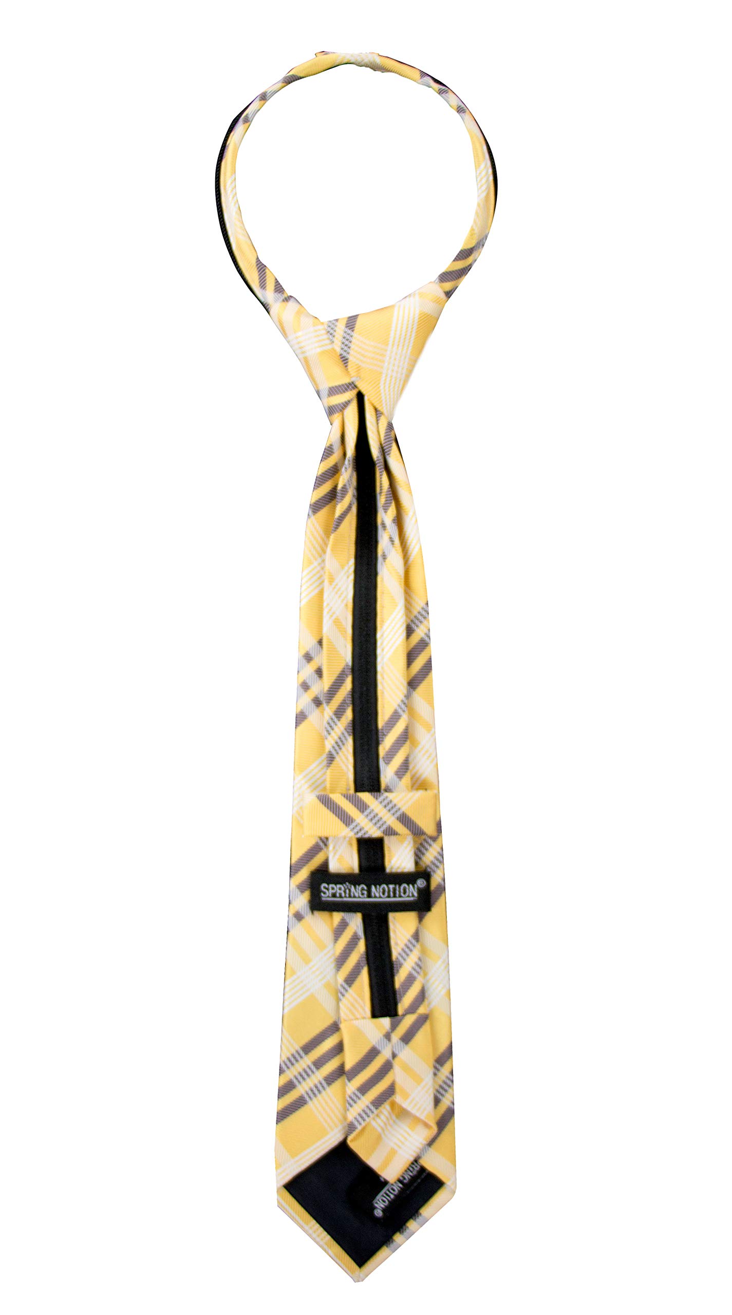 Spring Notion Boy's Plaid Woven Zipper Tie Blue Large