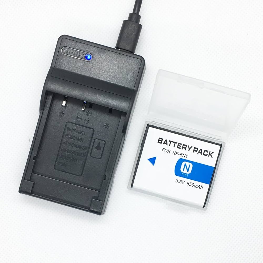 Amazon.com : Battery Pack and USB Rapid Travel Charger for