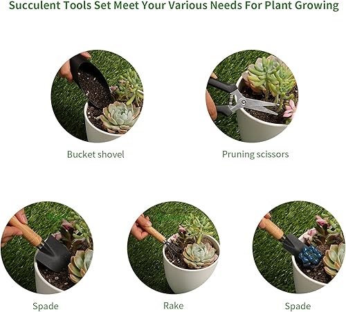 Miniatura 11 de 11 herramientas para suculentas, mini herramientas de jardín, herramienta de riego de suculentas como accesorios para plantas, kit de herramientas