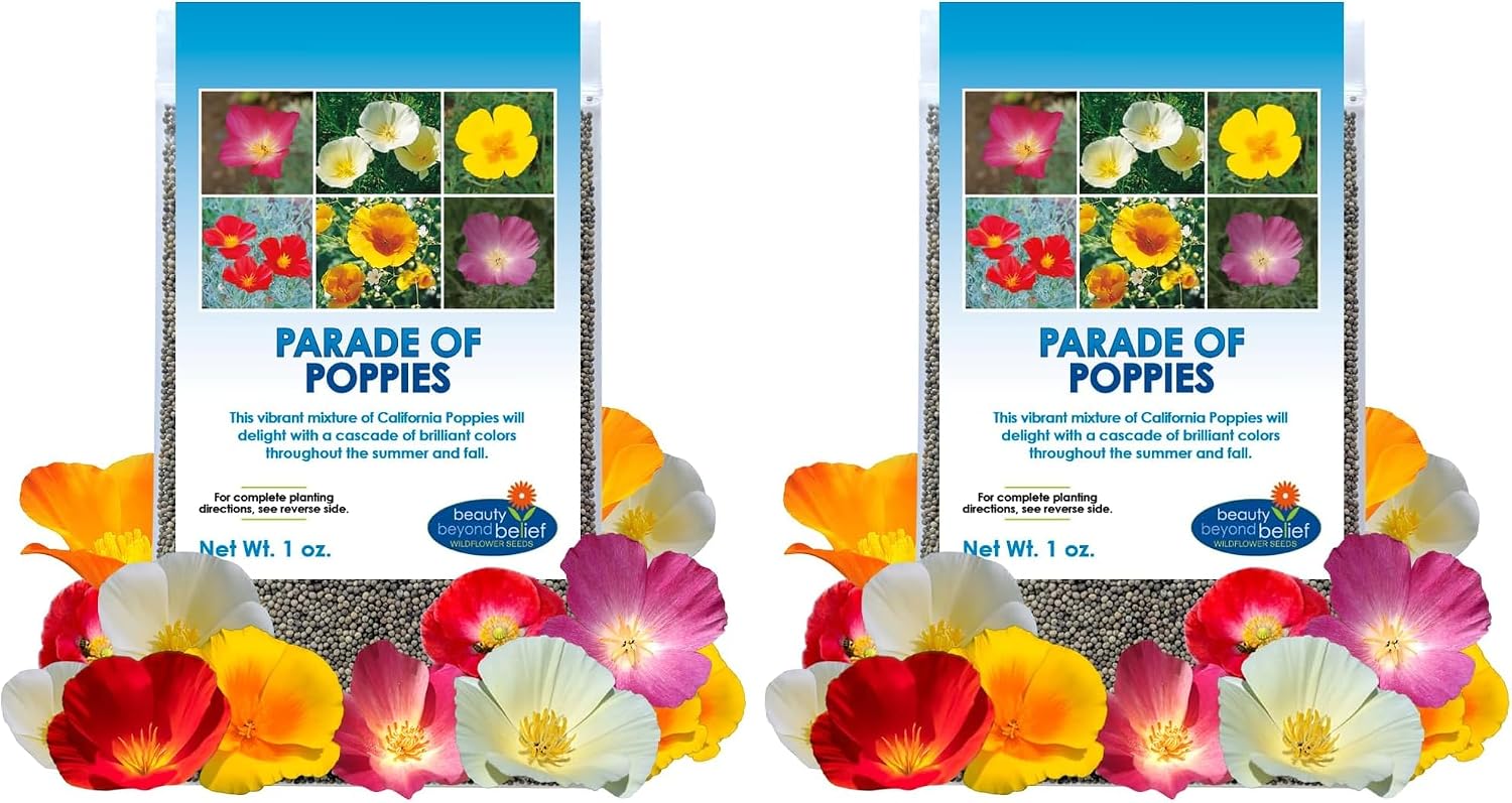 BBB Seed California Poppy Seeds, Annual Mix