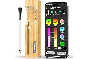 Smart Wireless Bluetooth Meat Thermometer - Elevate Your Grilling Experience