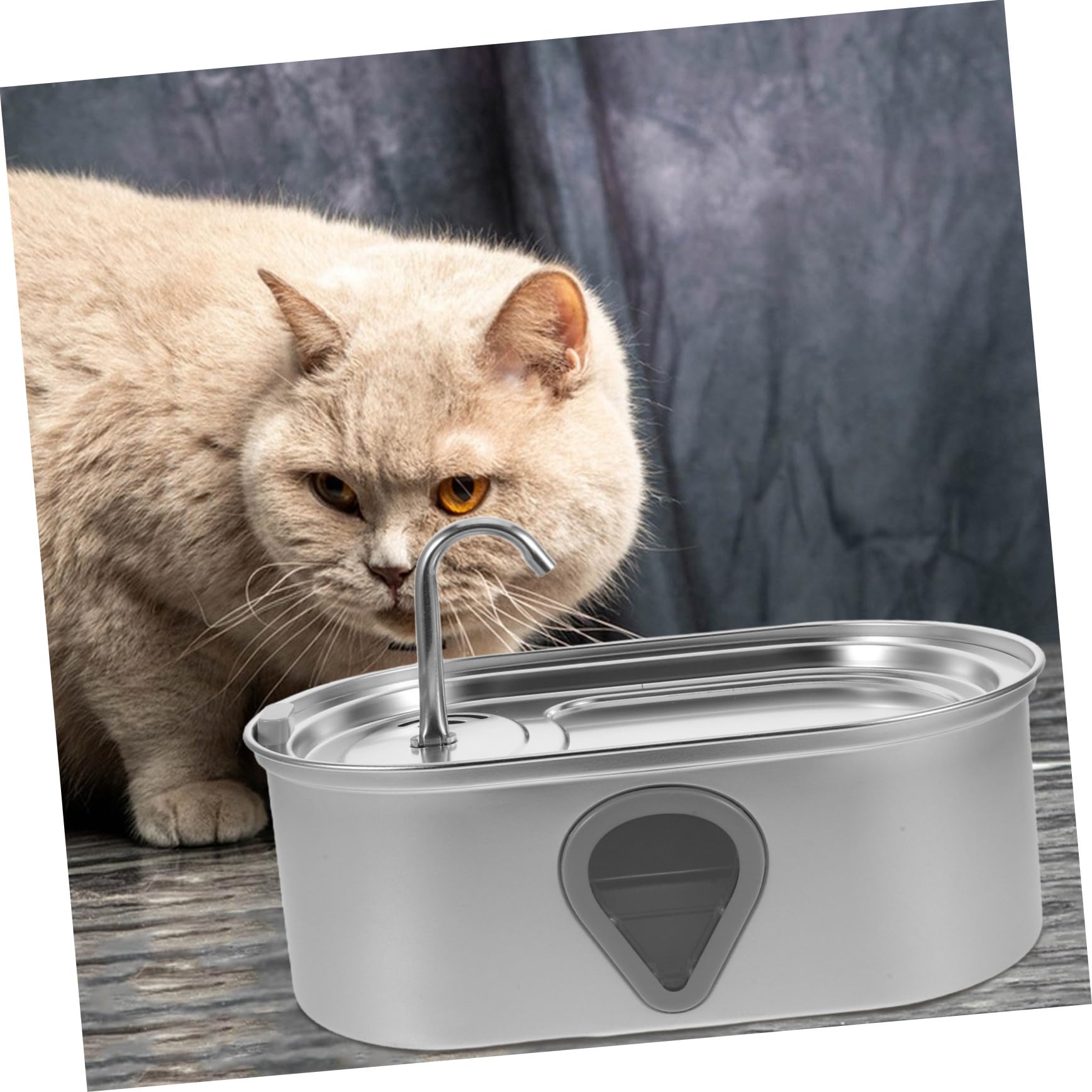BESTonZON Bebedero Automático para Gatos Acero Inoxidable Dispensador de Agua Recarga USB para Interiores Adecuado para Perros y Gatos Pequeños