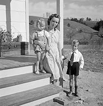 Smith wolcott Clearance